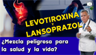 Programa 43 - Levotiroxina y Lansoprazol