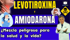 Programa 53 - Levotiroxina y Amiodarona